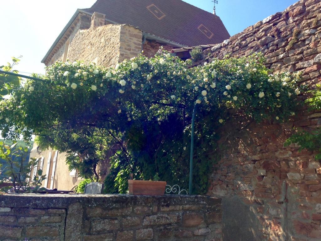 Le Vieux Chateau Bed and Breakfast Leynes Εξωτερικό φωτογραφία